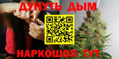 сатива Берёзовский