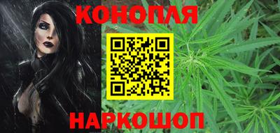 сатива Берёзовский